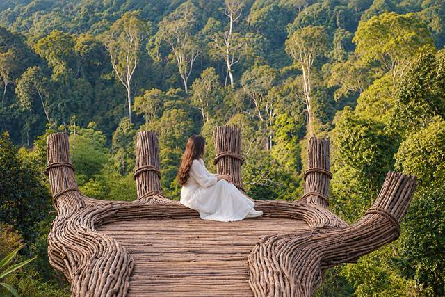 Platform bergambar di tengah hutan, Da Lat